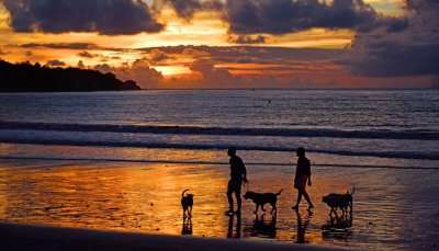 3 Ravishing Places To Visit Near Sukawati Art Market Bali In September