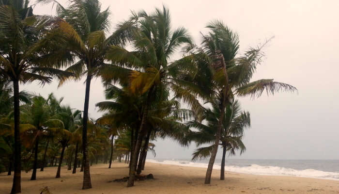 Mararikulam