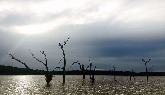 Kabini River