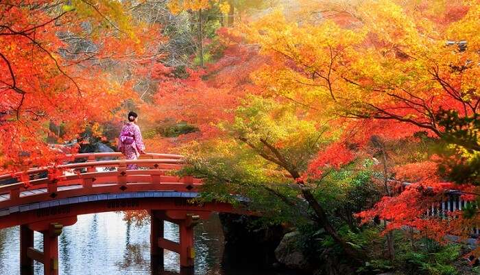 visit kyoto in november