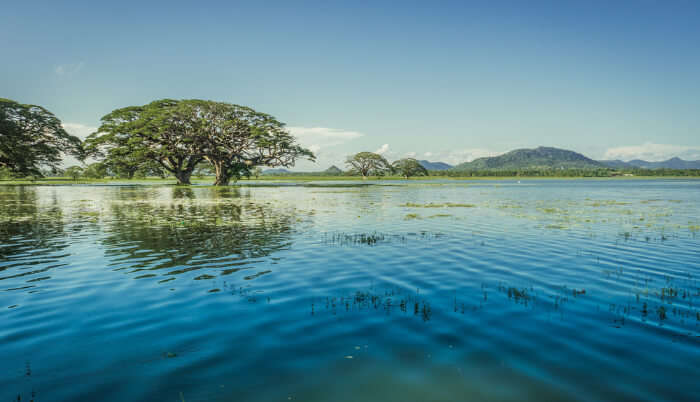 Lakes In Sri Lanka