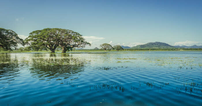 Lakes In Sri Lanka