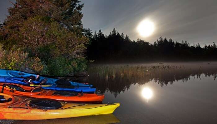 Moonlight Kayaking