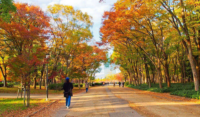 osaka-in-november-a-guide-to-the-city-of-cherry-blossoms