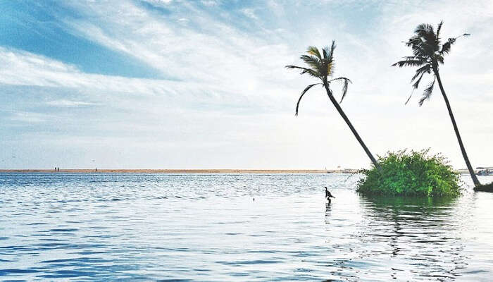 Poovar In Kerala