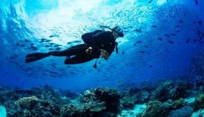 Scuba Diving In Jamaica