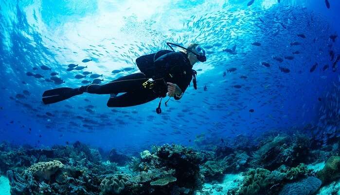 Scuba diving in MONTEGO BAY with Dressel Divers