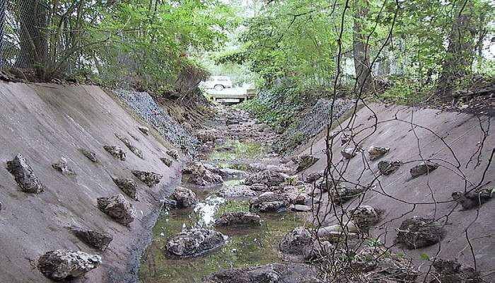 Shoal_Creek_Trail_