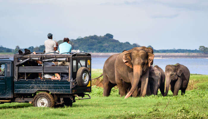 Sri Lanka In September