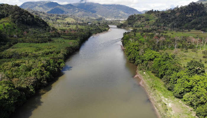 The Amazon Rainforest
