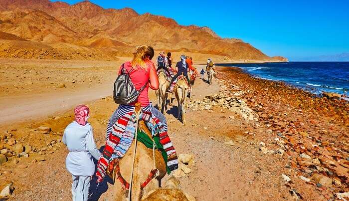 Things To Do In Aqaba