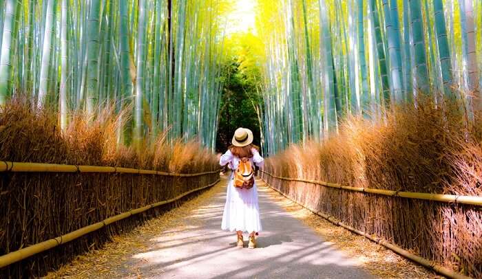 Things To Do In Kyoto