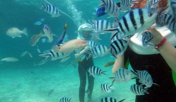 Underwater Sea Walk In Mauritius