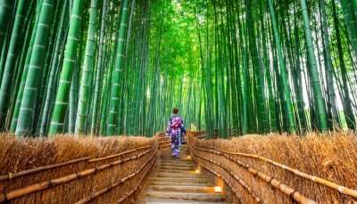 Best Things To Do In Kyoto
