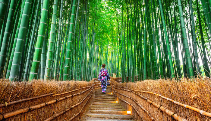 Best Things To Do In Kyoto