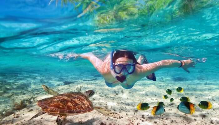 Adventurous Snorkelling In Austin