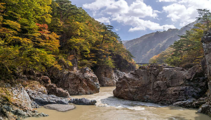 Best Tokyo National Parks