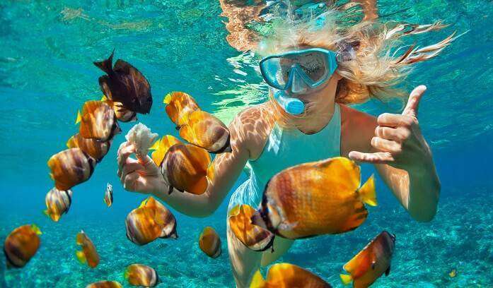 snorkelling pic