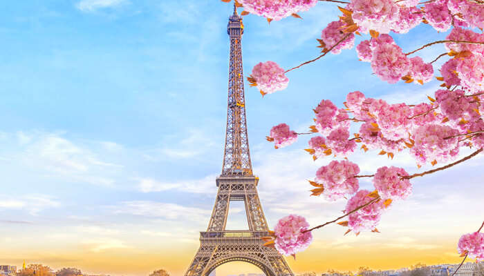 eiffel tower in paris during spring
