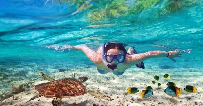 Thinking Of Snorkeling In Austin? This Is Where It Can Be Done