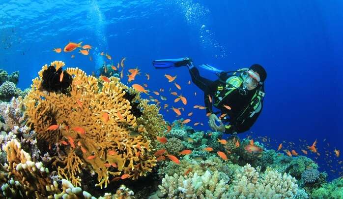 scuba diving in texas