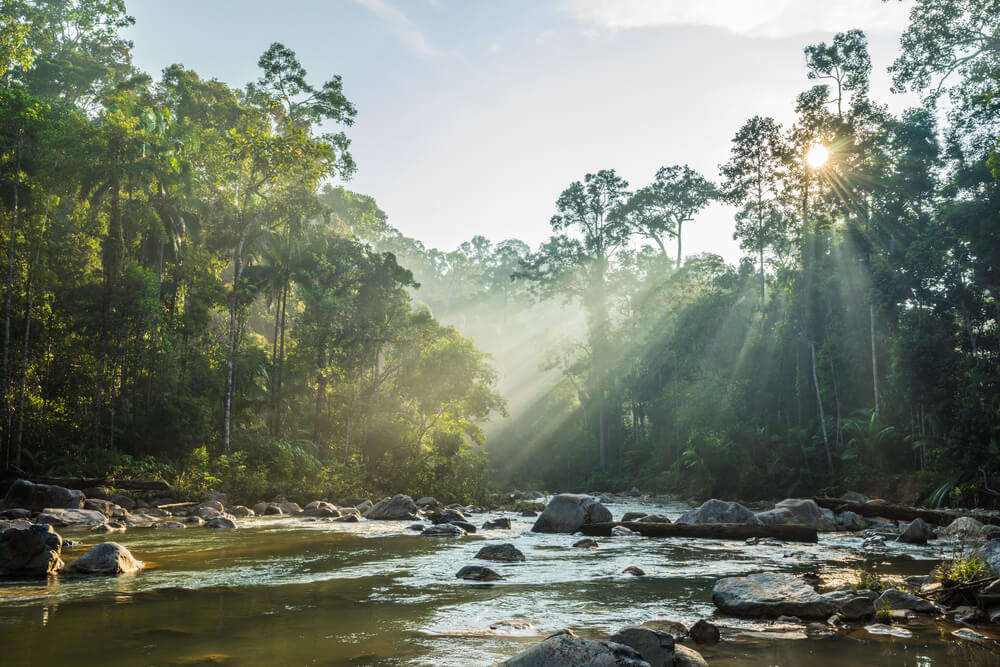 travel to north malaysia