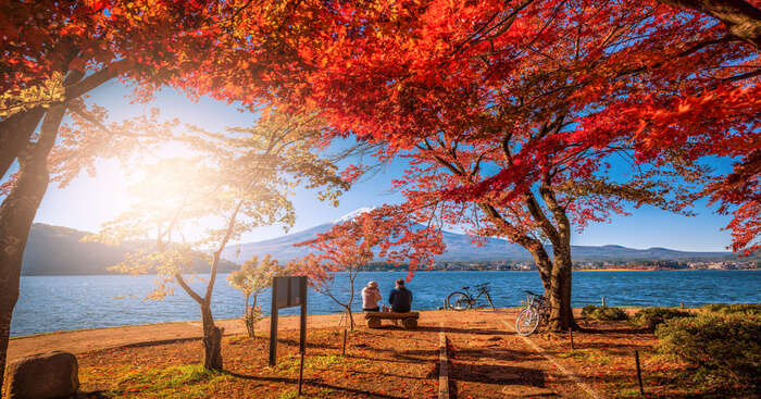6 Most Romantic Places In Tokyo For The Perfect Date
