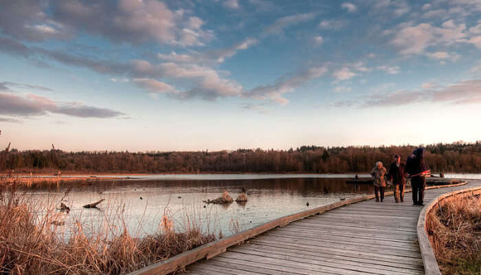Burnaby Lake
