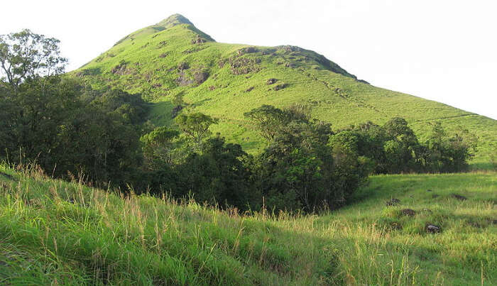Chembra Peak
