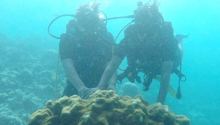 Nancy's Maldives Budget Honeymoon