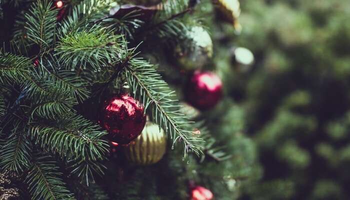 Events And Festivals Happening In Vancouver In Winter