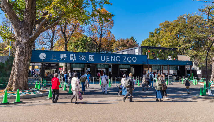 8 Japan Zoos To Explore With Kids On A 2022 Holiday There