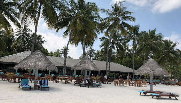 Nancy's Maldives Budget Honeymoon