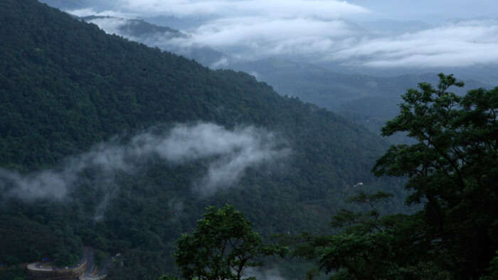 Neelimala View point