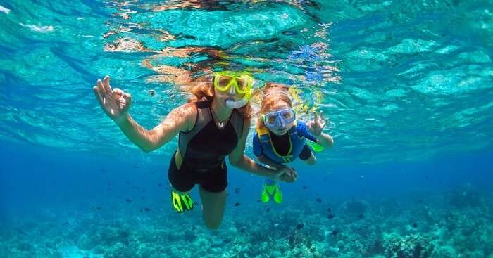 THE BEST 10 Snorkeling in WINDSOR, ON - Last Updated January 2024 - Yelp