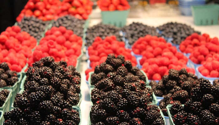 _Vancouver Farmers’ Holiday Market_