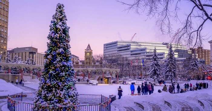 Calgary In Winter 2023: 10 Most Adventurous Things To Do Here