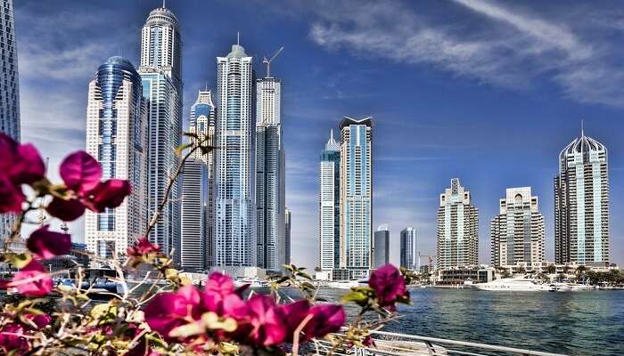 26 November 2019, UAE, Dubai: Louis Vuitton store in Dubai Mall, panoramic  view Stock Photo