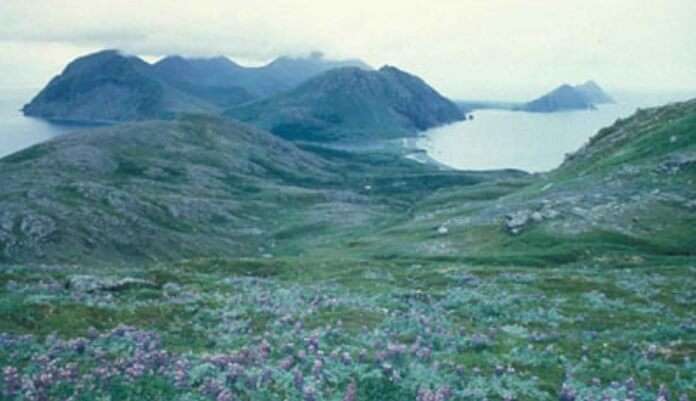 Barren Island
