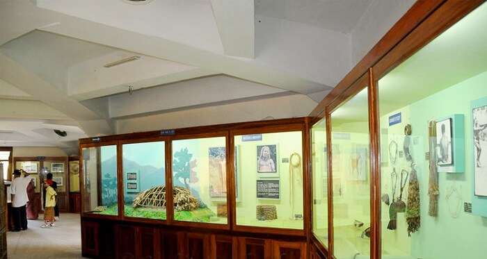 Basic Details Of Anthropological Museum Port Blair