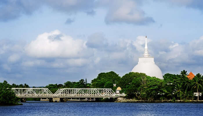 Kalutara BAAP Cover Image