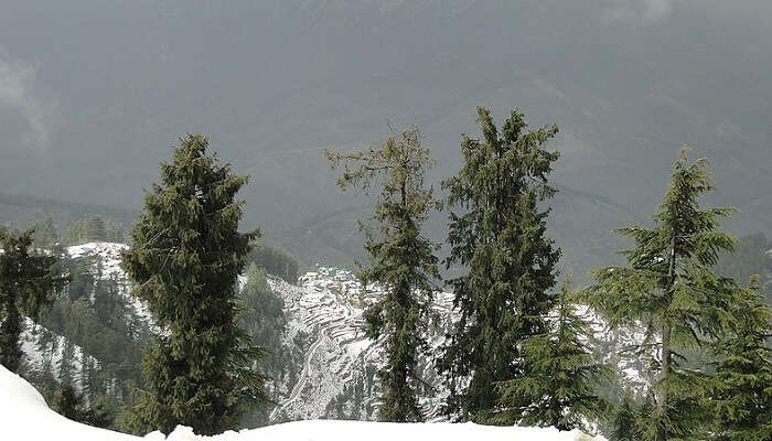 Kufri is a winter wonderland which is also known as one of the romantic places to visit in North India