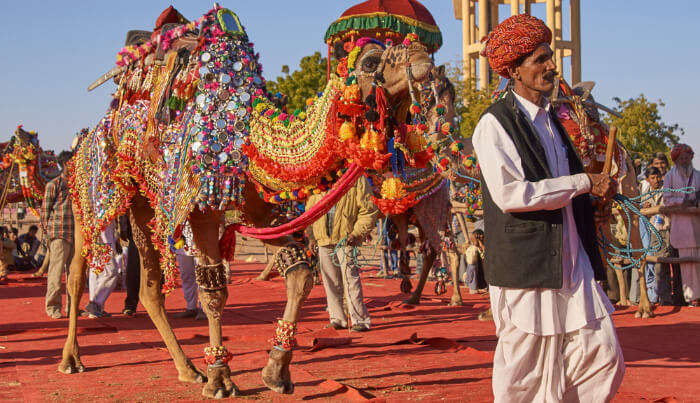 Things To Do In Nagaur