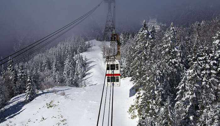 Ride The Thrilling ropeway in Darjeeling, one of the best places to visit in January in India.