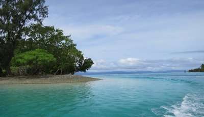 enjoy the first dive in Sister’s Island Marine Park which is the best spot for scuba diving in Singapore