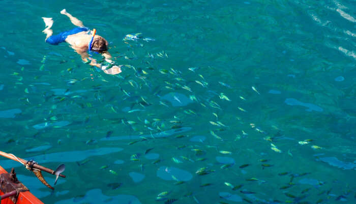 Taste The Thrill Of Snorkeling