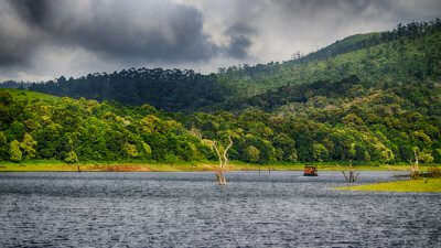 Thekkady In December cover