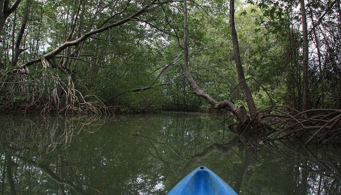 Try Cruising And Kayaking