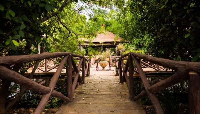 bridge in a garden