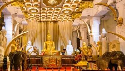 Things To Do In Moratuwa For A Divine